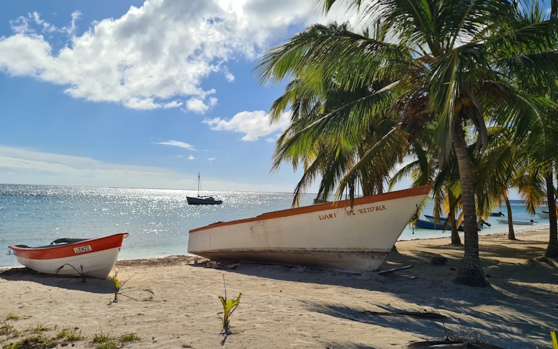 Isla Saona República Dominicana playa paradisíaca